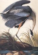 John James Audubon Great Blue Heron oil